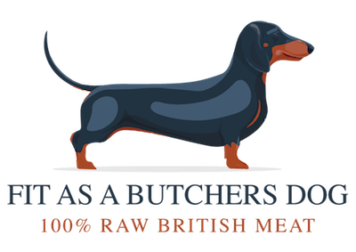 FIT AS A BUTCHERS DOG WEB
