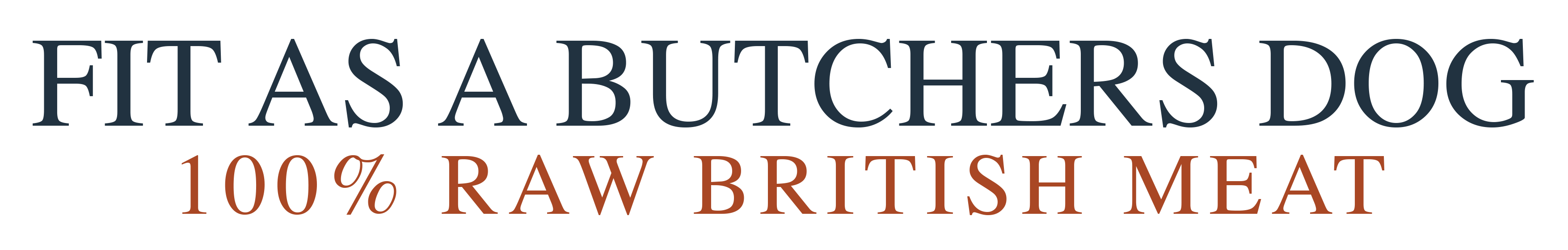 Fit As A Butchers Dog